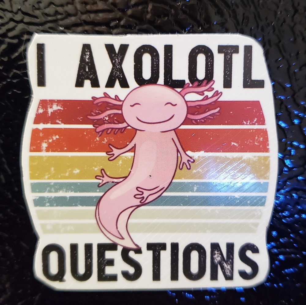3/$10 Axolotl Magnet ~ I Ask Alotl Questions ~ Kawaii Axolotl Hand Made Magnet